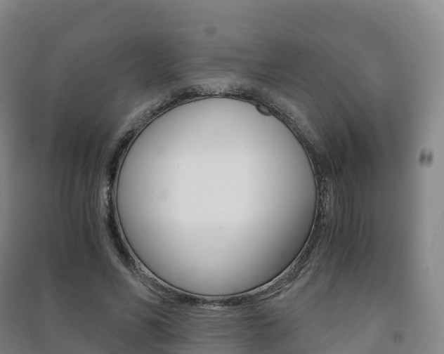 X0000091480590200708161150