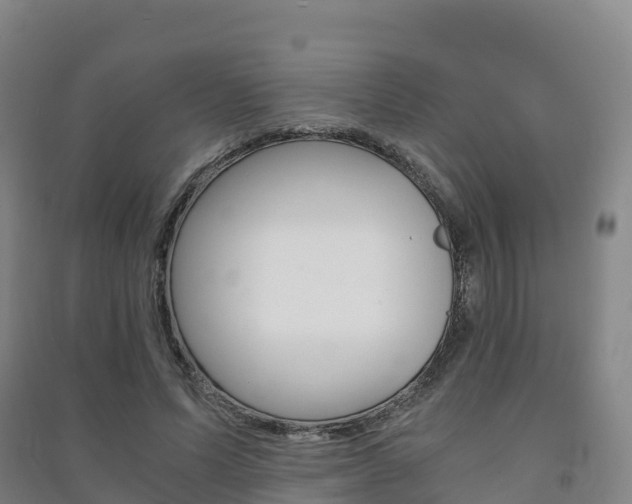 X0000091480591200708161150