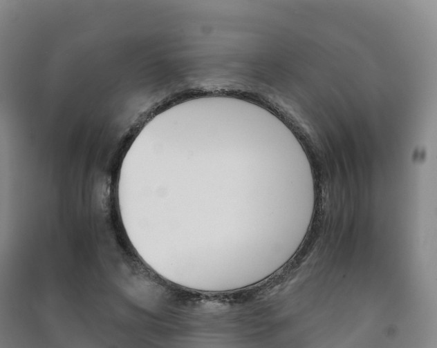 X0000091480592200708161150