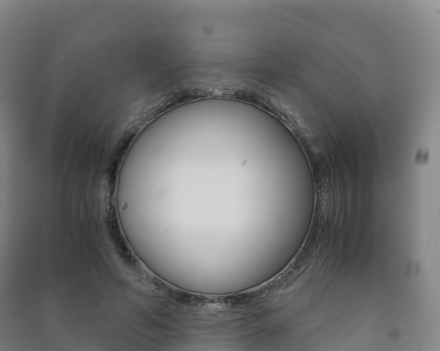 X0000091480594200708161150