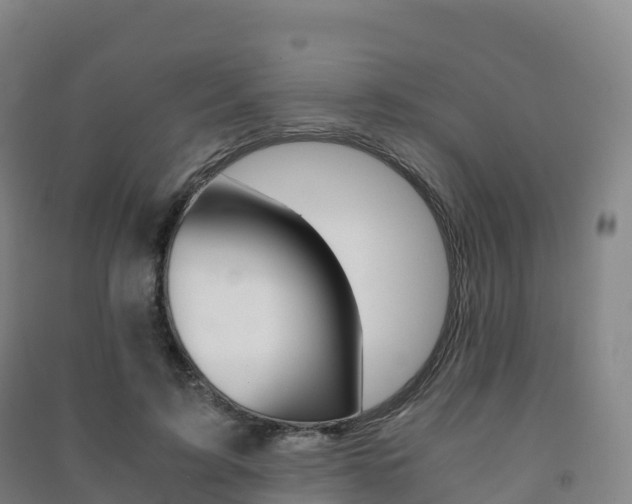 X0000091480595200708161150