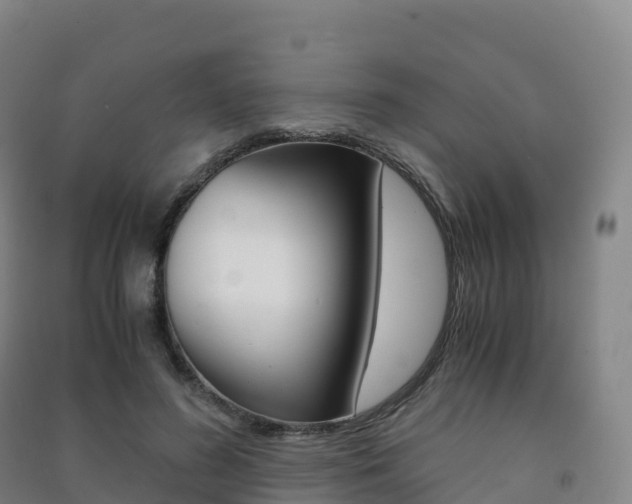 X0000091480596200708161150