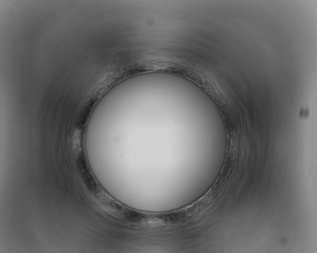 X0000091480598200708161150