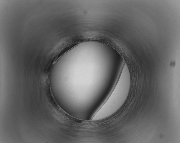 X0000091480601200708161150