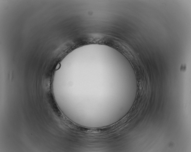 X0000091480602200708161150