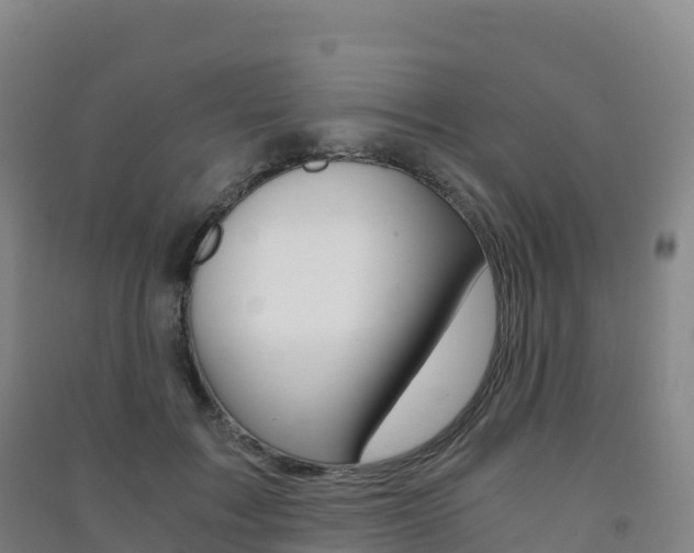 X0000091480603200708161150