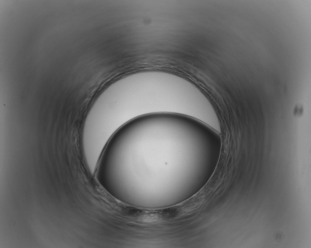 X0000091480604200708161150