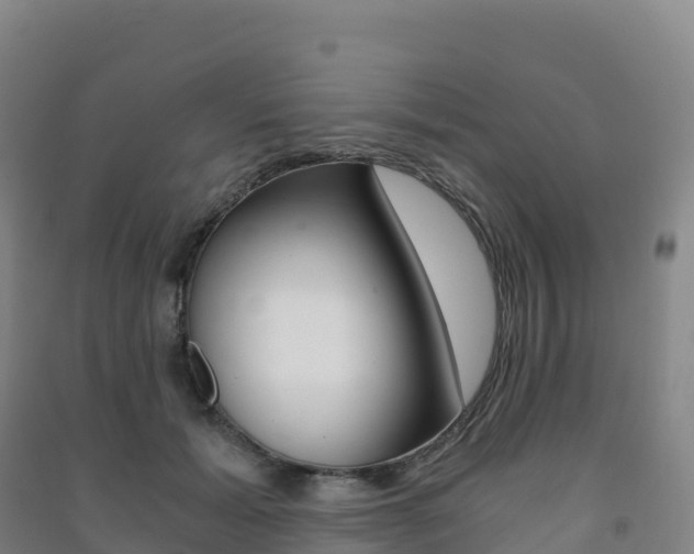X0000091480605200708161150