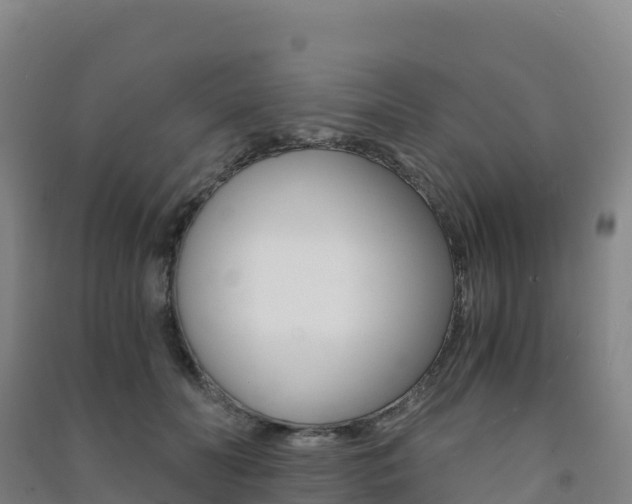 X0000091480606200708161150