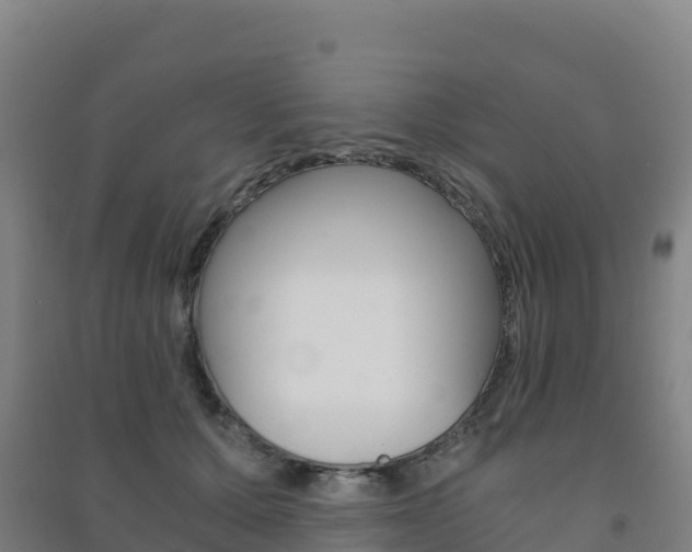 X0000091480607200708161150