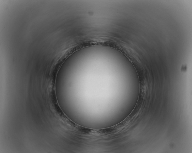 X0000091480608200708161150