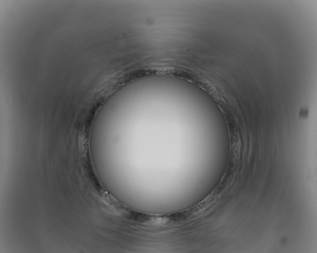 X0000091480609200708161150