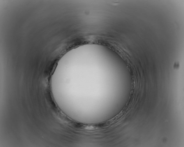 X0000091480611200708161150