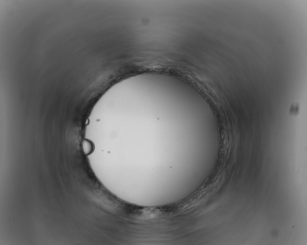 X0000091480612200708161150