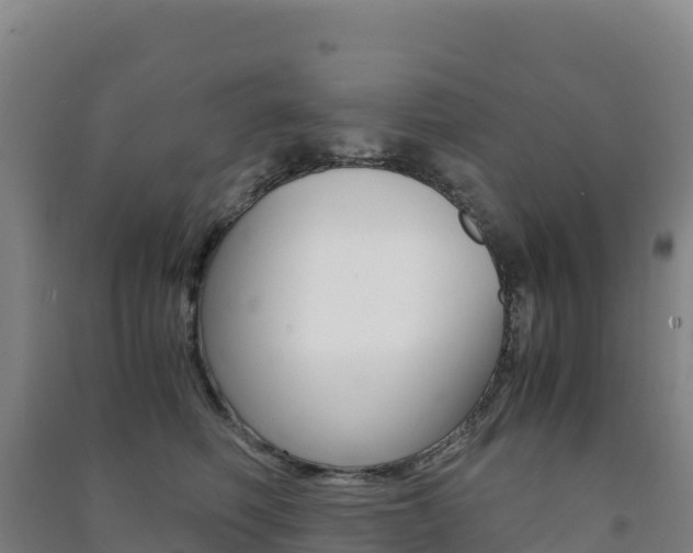 X0000091480614200708161150