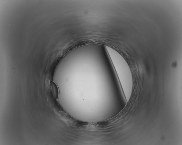 X0000091480615200708161150