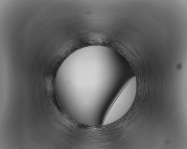 X0000091480616200708161150