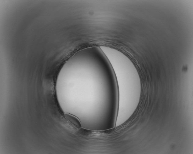 X0000091480617200708161150
