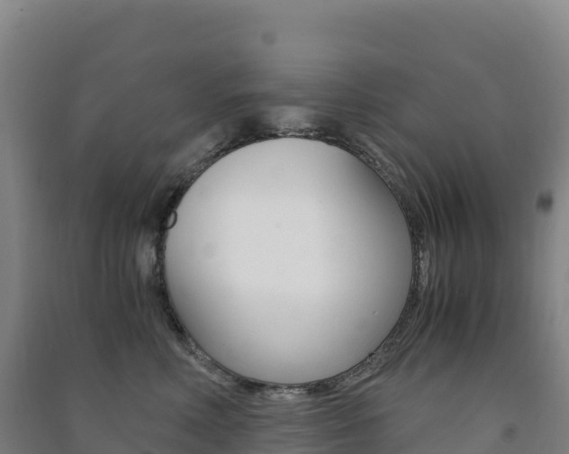 X0000091480618200708161150
