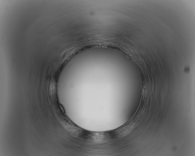 X0000091480623200708161150