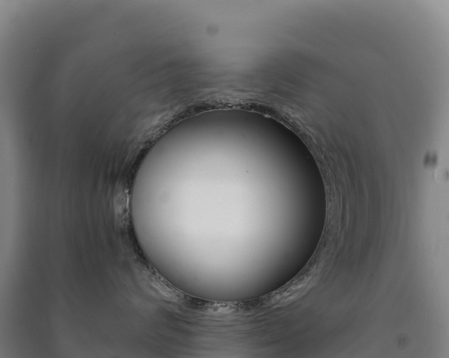 X0000091480624200708161150