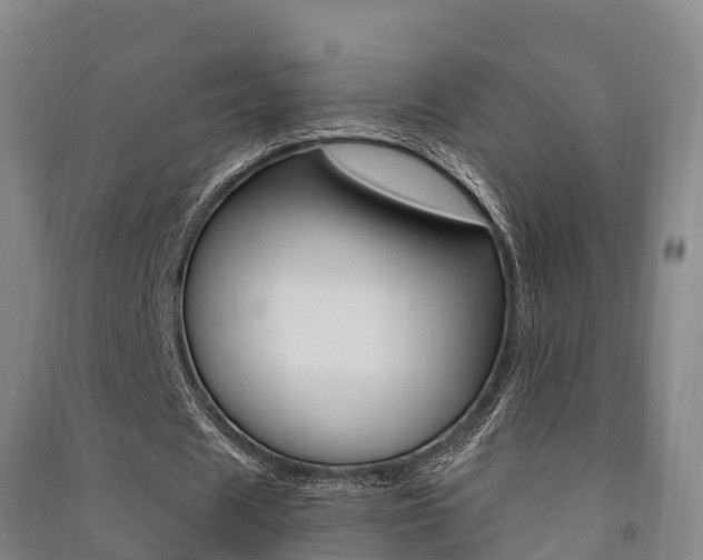 X0000091480625200708161149