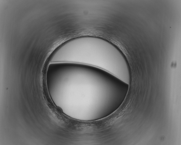 X0000091480626200708161149