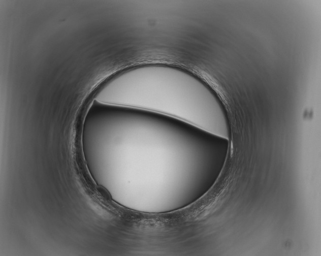 X0000091480627200708161149