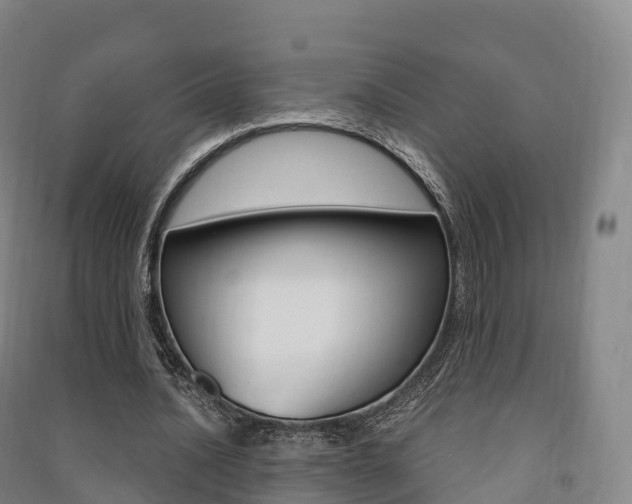 X0000091480628200708161149