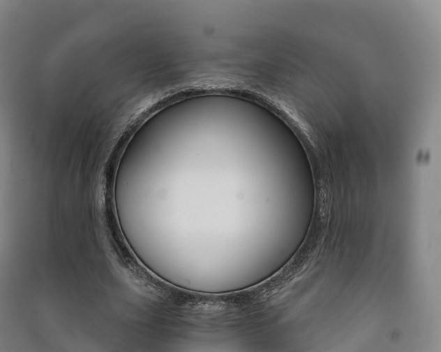 X0000091480631200708161149