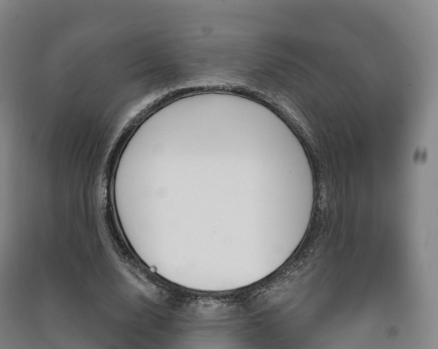X0000091480632200708161149