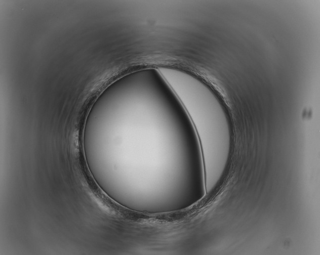 X0000091480633200708161149