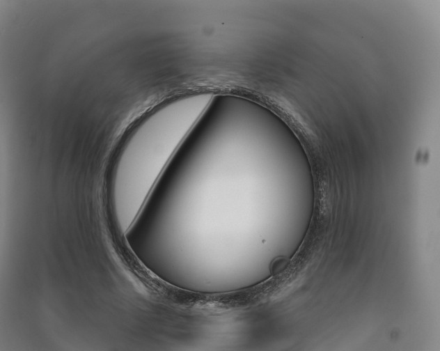 X0000091480634200708161149