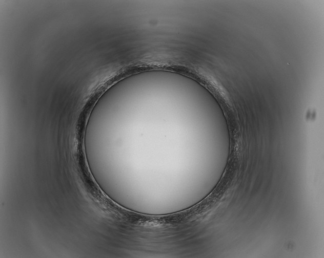X0000091480635200708161149
