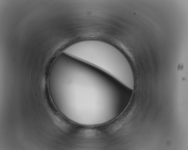 X0000091480637200708161149