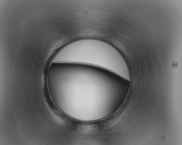X0000091480638200708161149