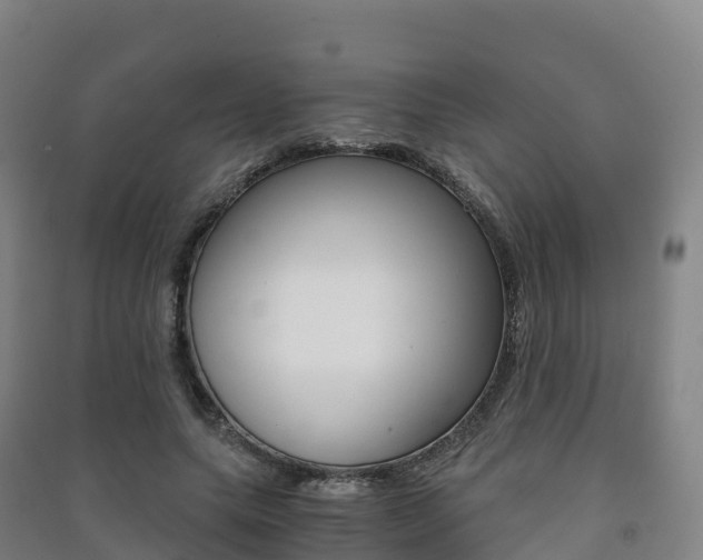 X0000091480639200708161149