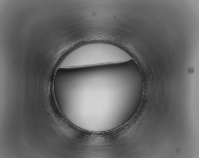 X0000091480640200708161149