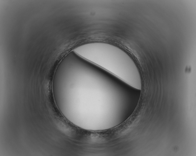 X0000091480641200708161149