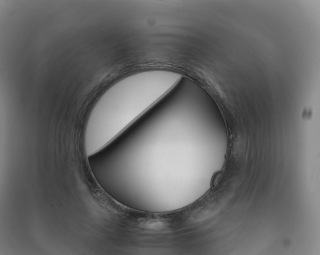 X0000091480643200708161149