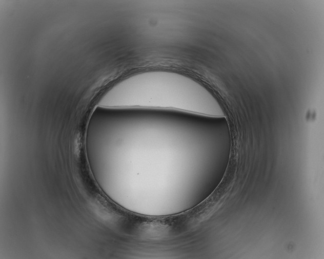 X0000091480644200708161149