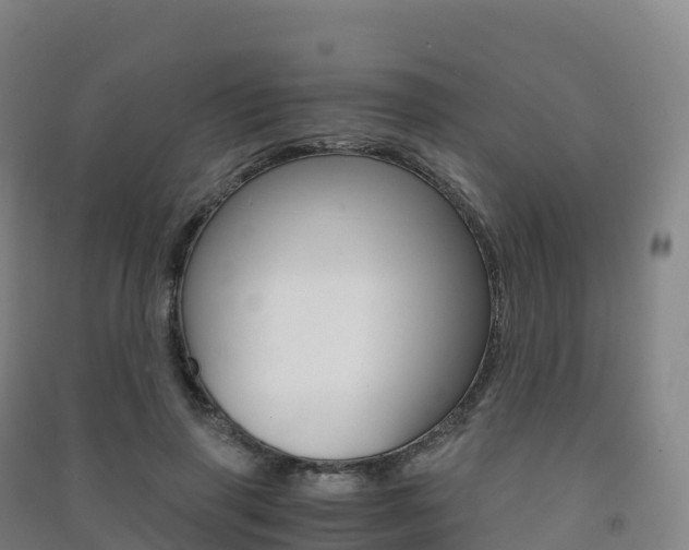 X0000091480645200708161149
