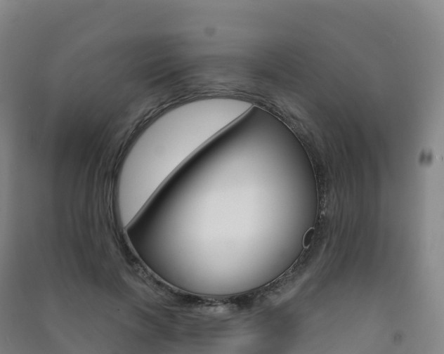 X0000091480646200708161149