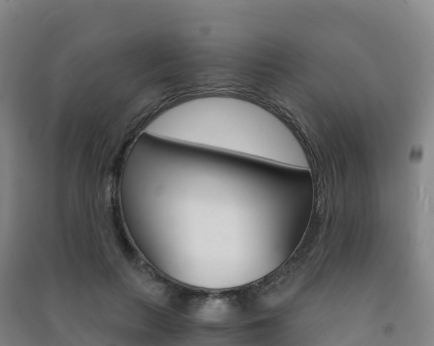 X0000091480647200708161149
