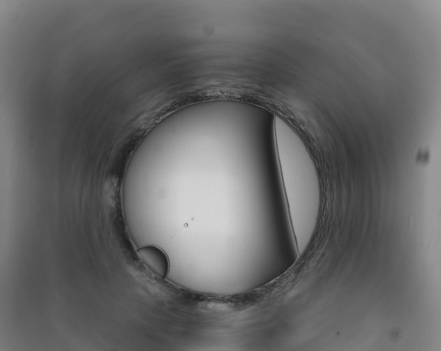 X0000091480649200708161149
