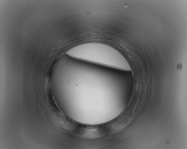 X0000091480651200708161149