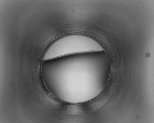 X0000091480652200708161149