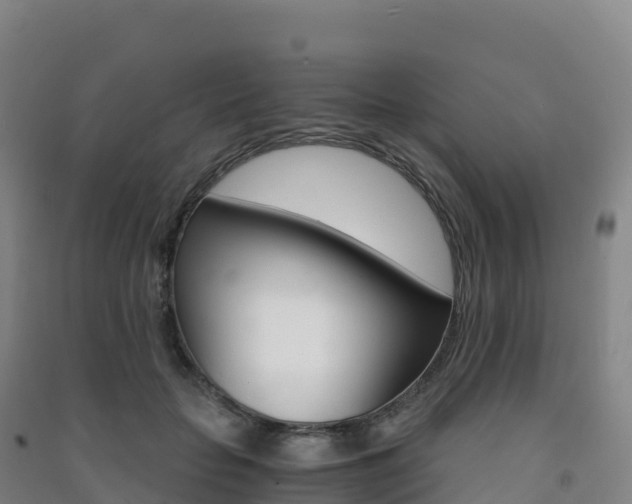X0000091480653200708161149