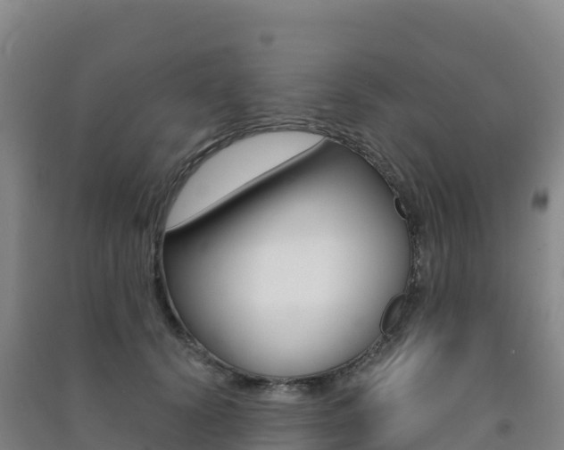 X0000091480656200708161149