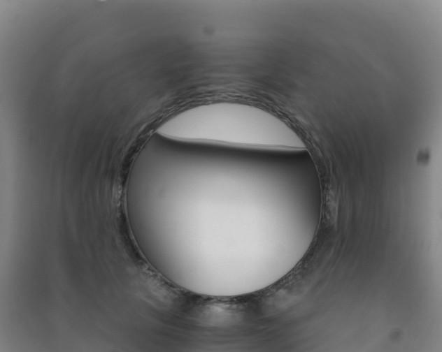 X0000091480657200708161149